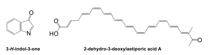 図1 これまで発色団と考えられてきた3-H-indol-3-one(左)と、今回新たに発色団であることが明らかになった2-dehydro-3-deoxylaetiporic acid A(右)