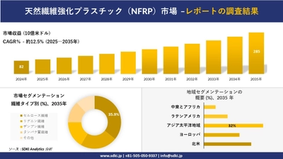 天然繊維強化プラスチック(NFRP)市場の発展、傾向、需要、成長分析および予測2025-2035年