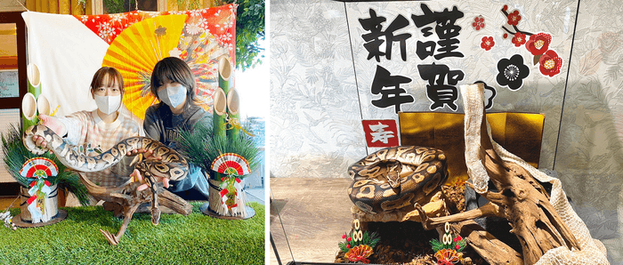 専用の撮影ブースもご用意しております!