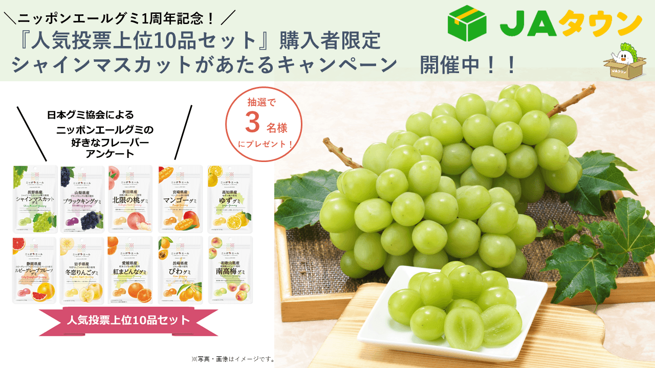 ニッポンエールグミ「人気投票上位10品セット」