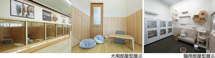 「部屋型展示」によるストレス軽減と快適性の提供