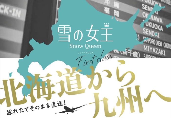 雪の女王店頭販促ポップ