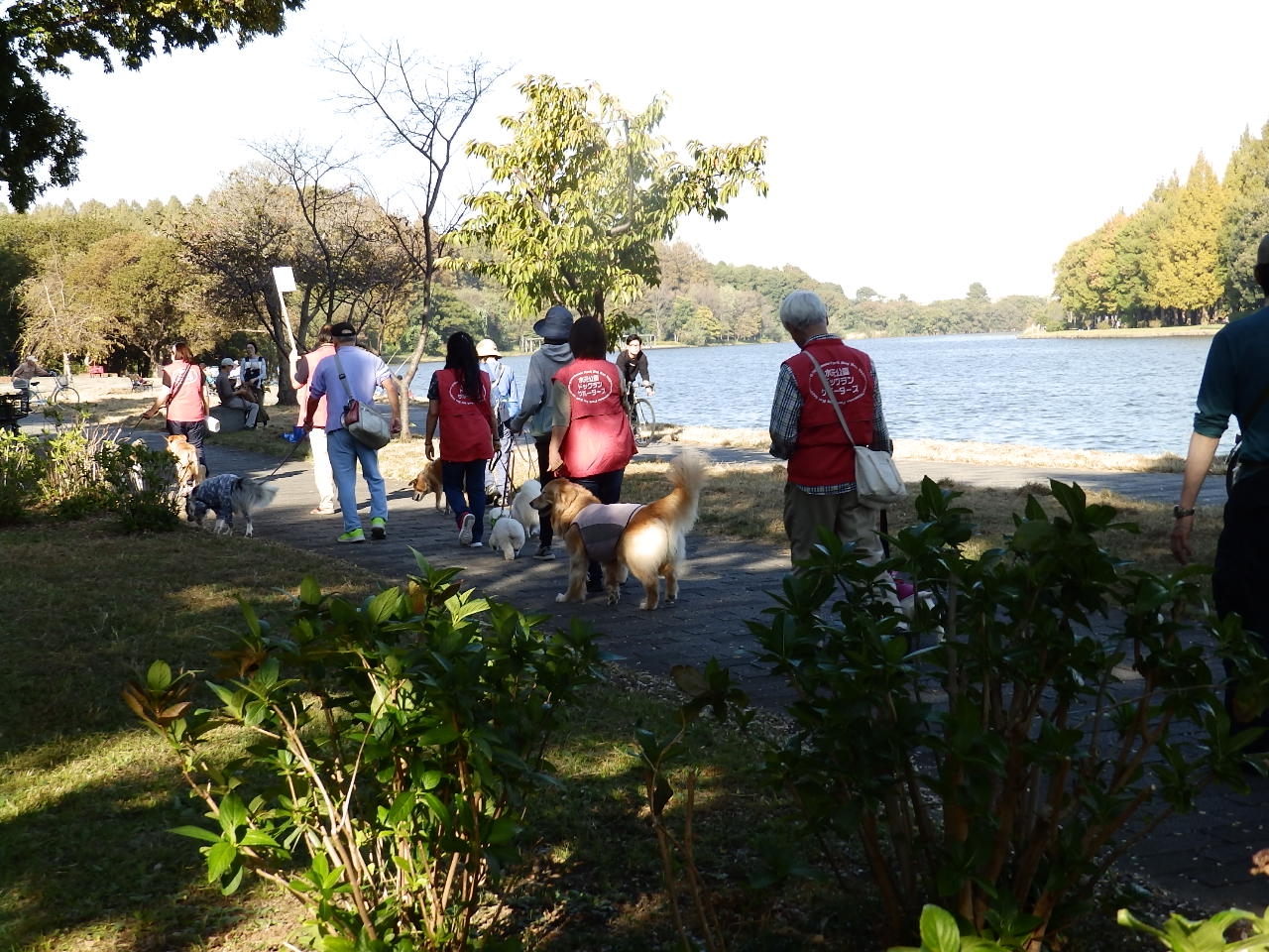 パックウォーク(昨年度の様子)