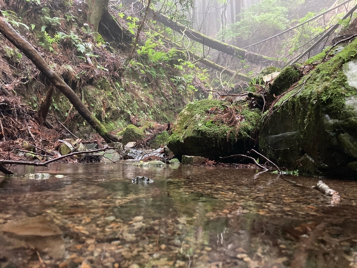 #The outdoor rice 水源(2)