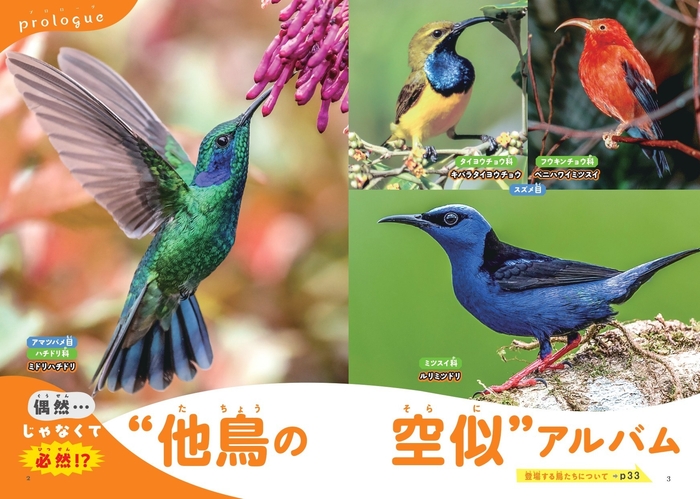 偶然…じゃなくて必然!? “他鳥の空似”アルバム
