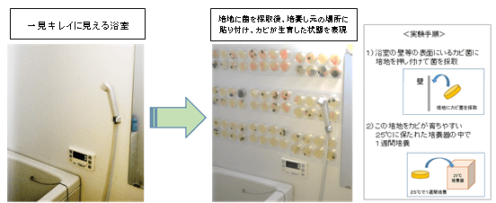 一見キレイに見える浴室内のあちこちに実はカビ菌が潜んでいる!