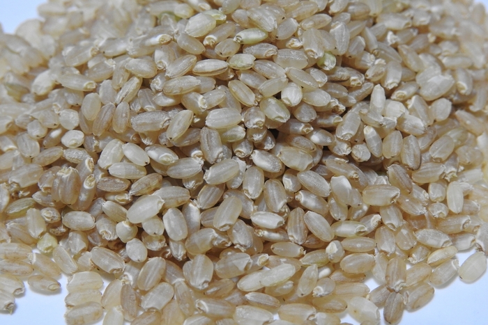 発芽玄米(ゆめぴりか)