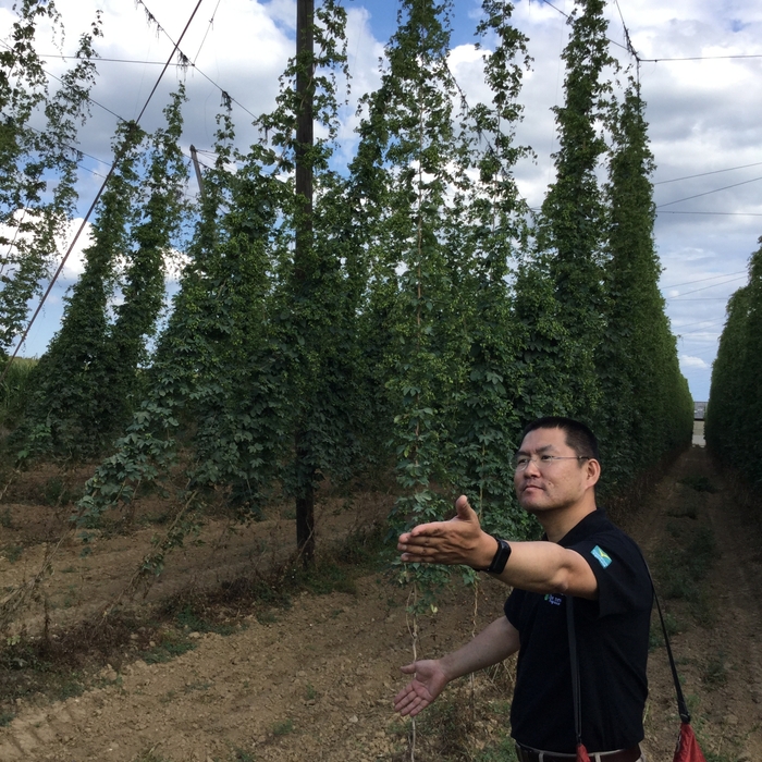 サッポロビールホップリーダー 鯉江弘一朗