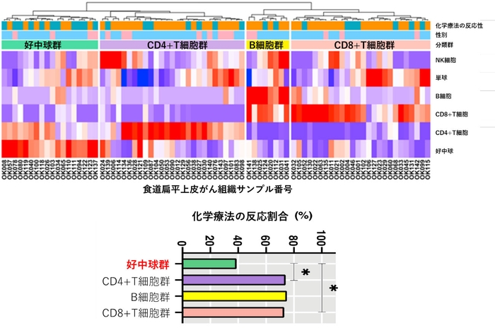 図1 食道がんの免疫分類