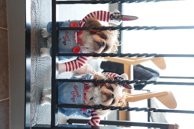 幸せガーデン内観3