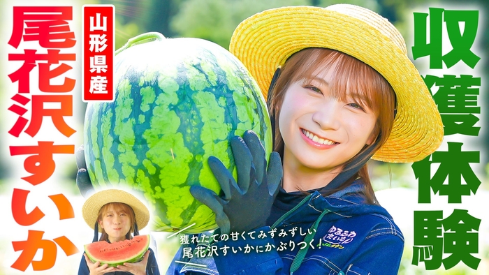 YouTube番組「ゆるふわたいむ」