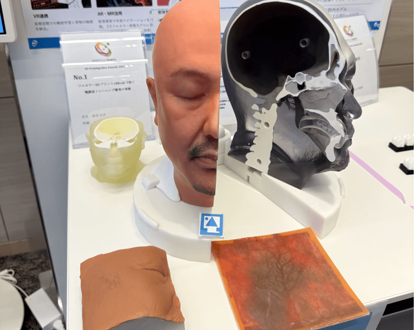 3D Clone Modelとバイオニックシート