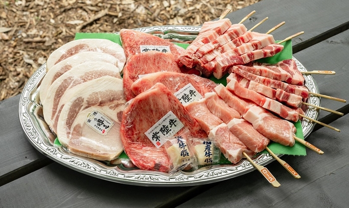 本格プラン一例