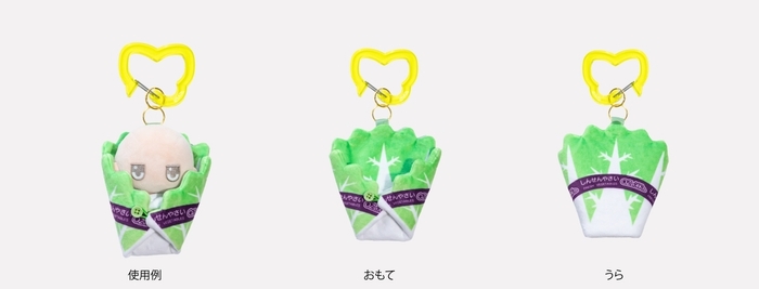 はくさい：くるんだ状態の使用例・おもて・うら