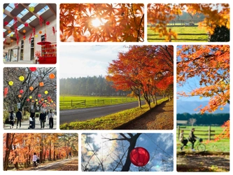 牧場ならではの紅葉を楽しむ 「那須千本松牧場 紅葉デイズ2025」を初開催