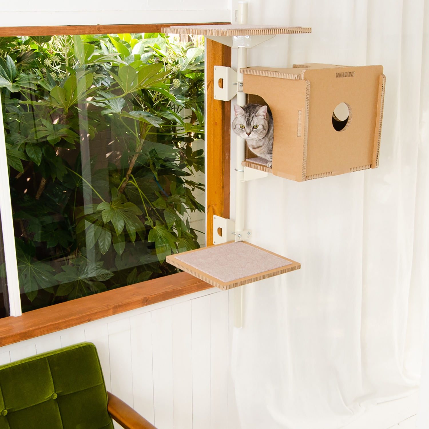 窓際設置で日向ぼっこ