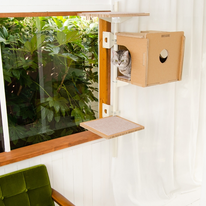 窓際設置で日向ぼっこ