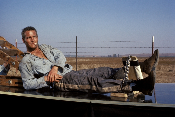 © 2025 Warner Bros. Entertainment Inc. All rights reserved.