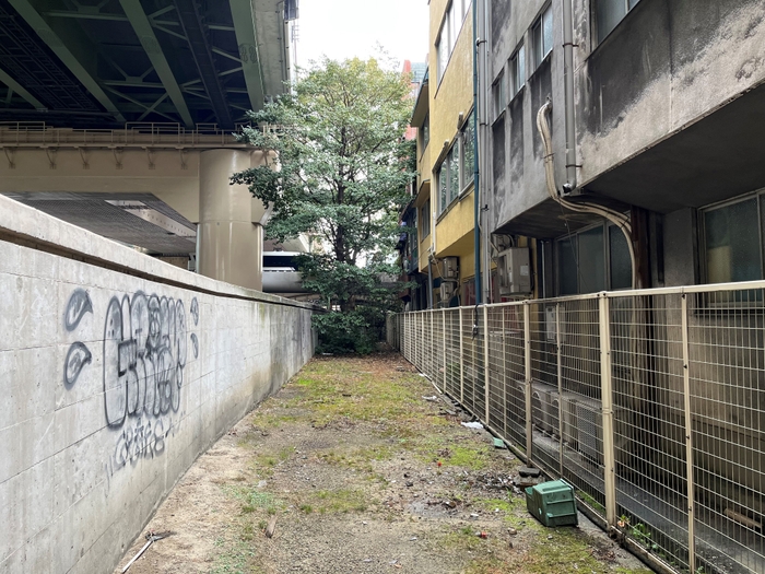 整備前の遊歩道