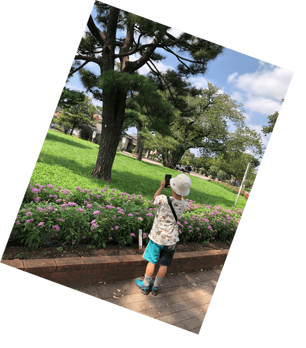 スマホのカメラ機能を 使って公園散歩!