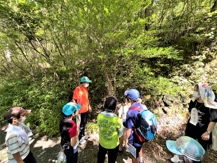 自然観察(昨年のサマースクールの様子)