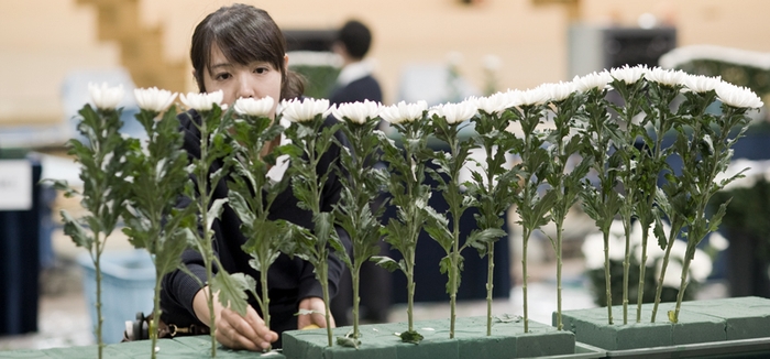 フューネラル・フラワー技能検定協会 試験風景