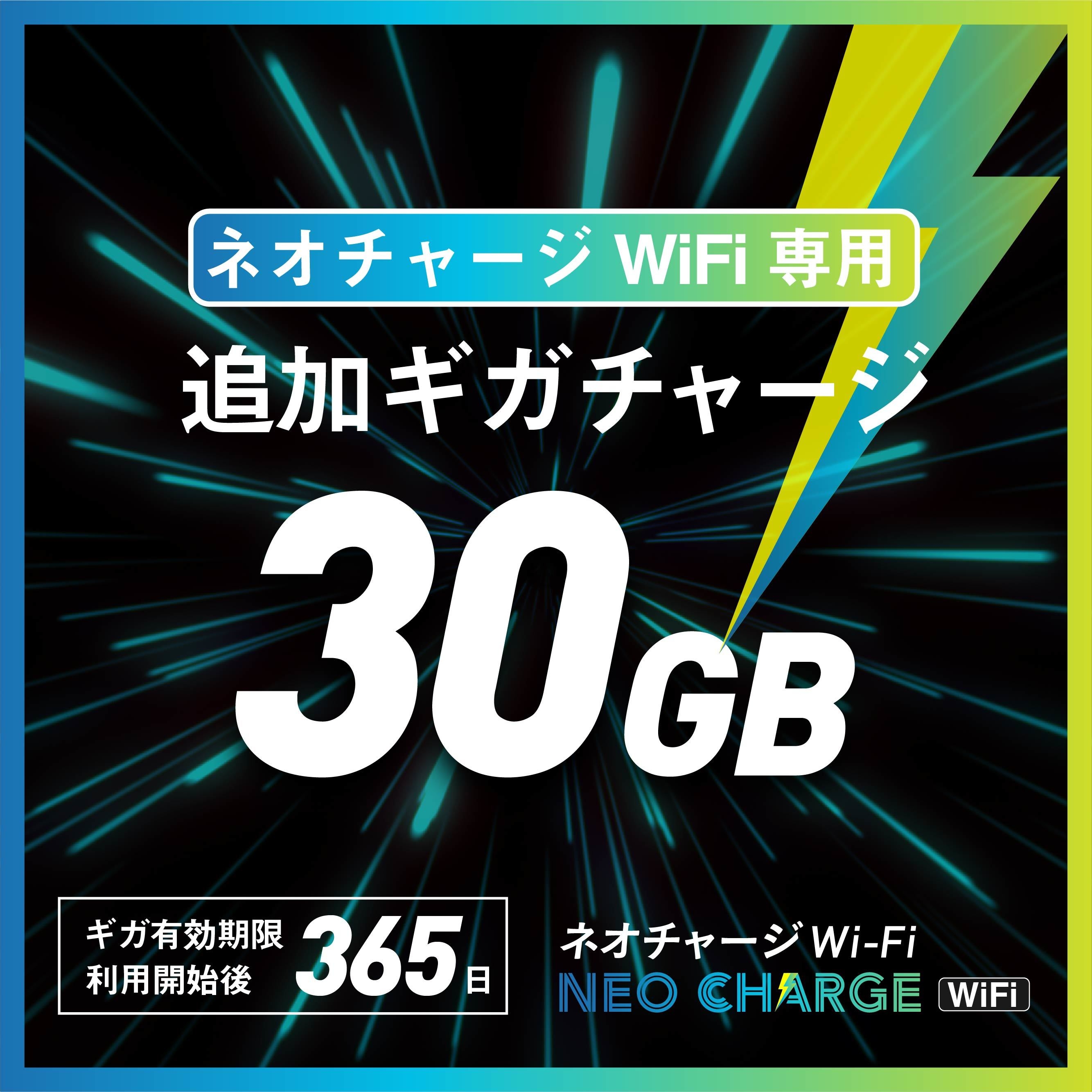 30GB 3,280円(税込)