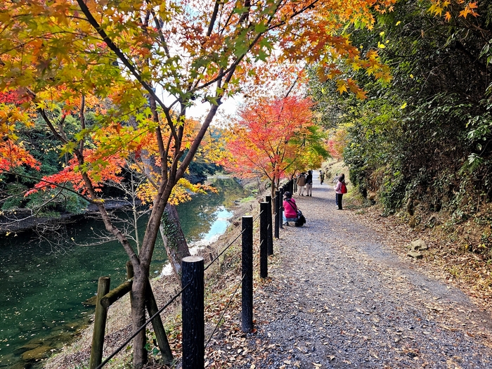 遊歩道が整備されていて歩きやすい