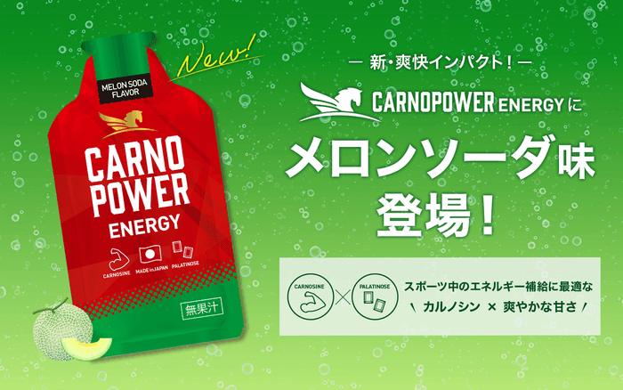 カルノパワーENERGY メロンソーダ味