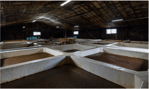 工場見学も大人気です!