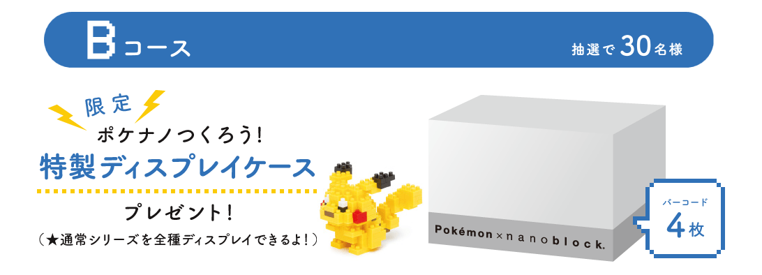 ポケナノつくろう!プレゼントキャンペーンvol.2(Bコース景品)