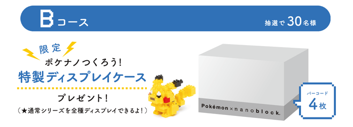 ポケナノつくろう!プレゼントキャンペーンvol.2(Bコース景品)
