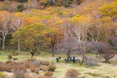 群馬県赤城山 紅葉の時期に「普段は入れない！ 赤城白樺牧場 秘密の絶景ツアー 2025Autumn」開催