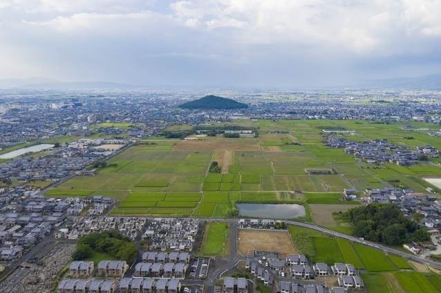 藤原宮跡