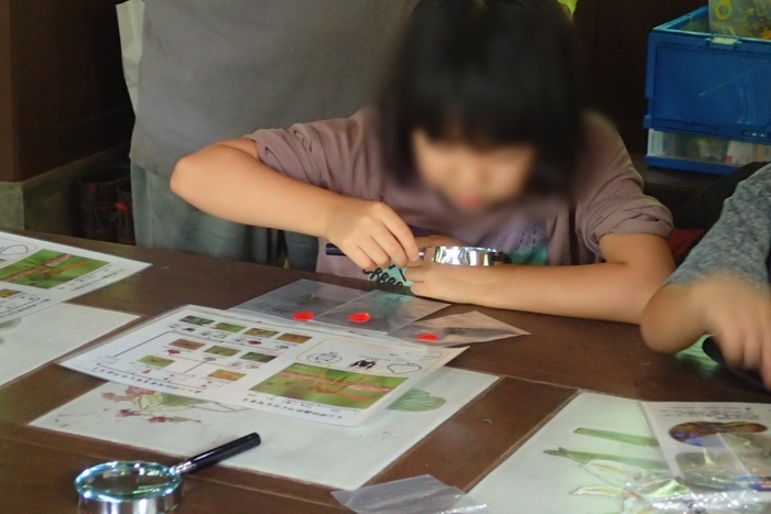 おっ!じっくり見てますね~