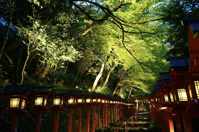 過去開催時の様子