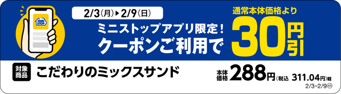 単品販促物一例※4(画像はイメージです。)