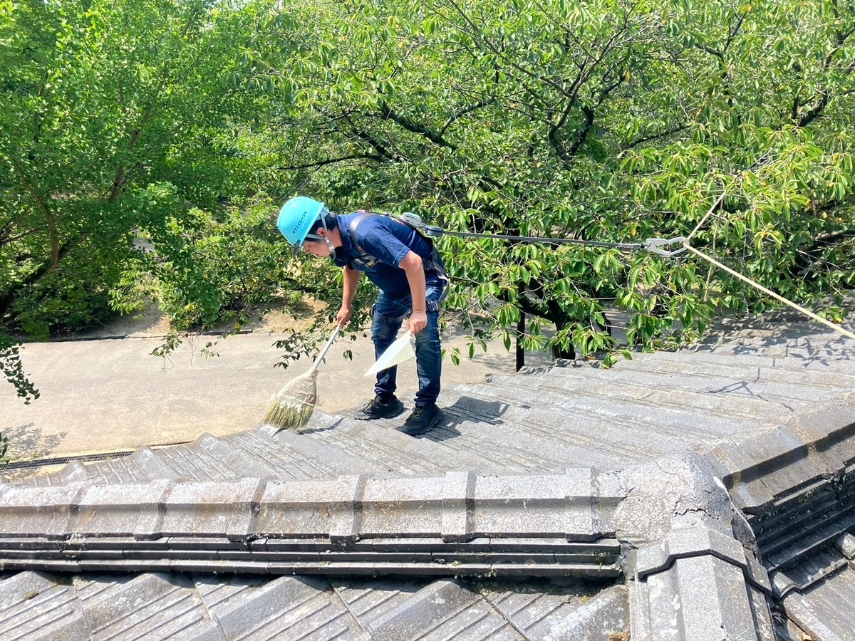 屋根の日活動写真4