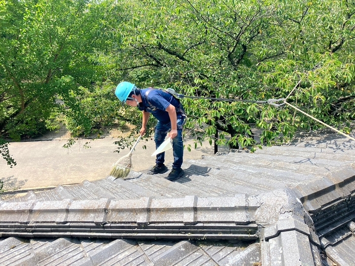 屋根の日活動写真4