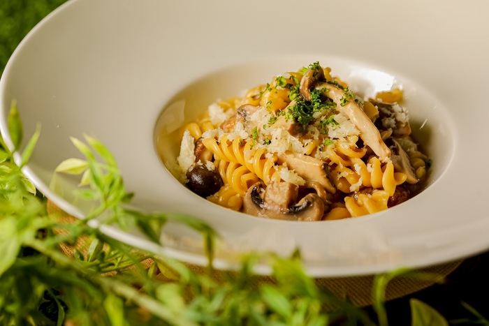 ▲【オプション ランチ付き】 眠れる森のキノコのクリームパスタとパンプキンスープ