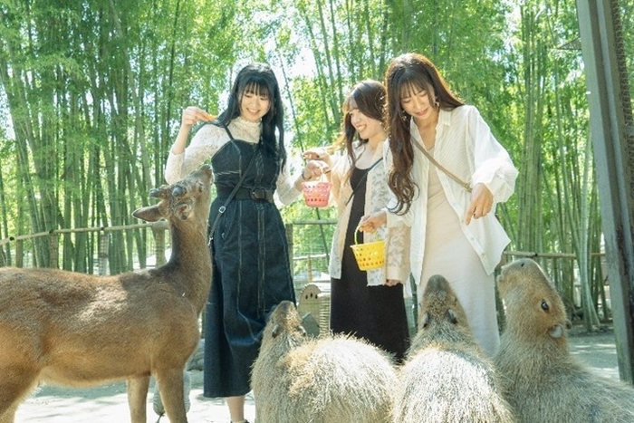 朝食後は、宿泊者限定で開園前のサユリワールドをお楽しみいただけます