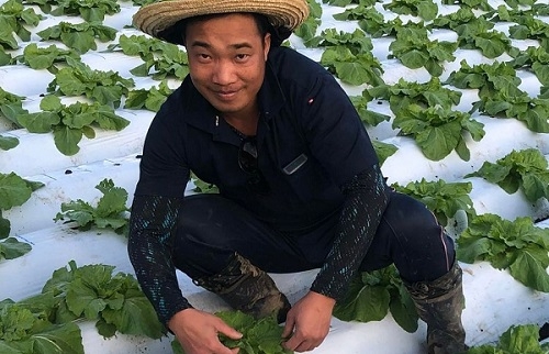 <地域活性化> 農業経営者と外国人就農者を支援する「産地間人材リレー」を実現(長野・長崎間)