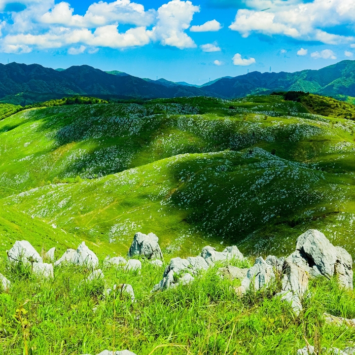 2022年 美祢青嶺高校賞 2