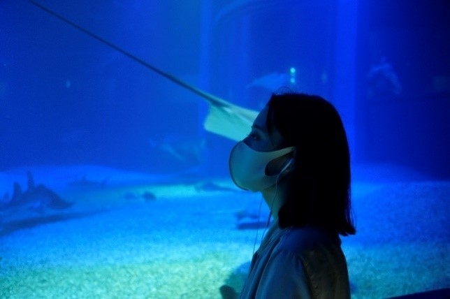 閉館後の海遊館(イメージ)