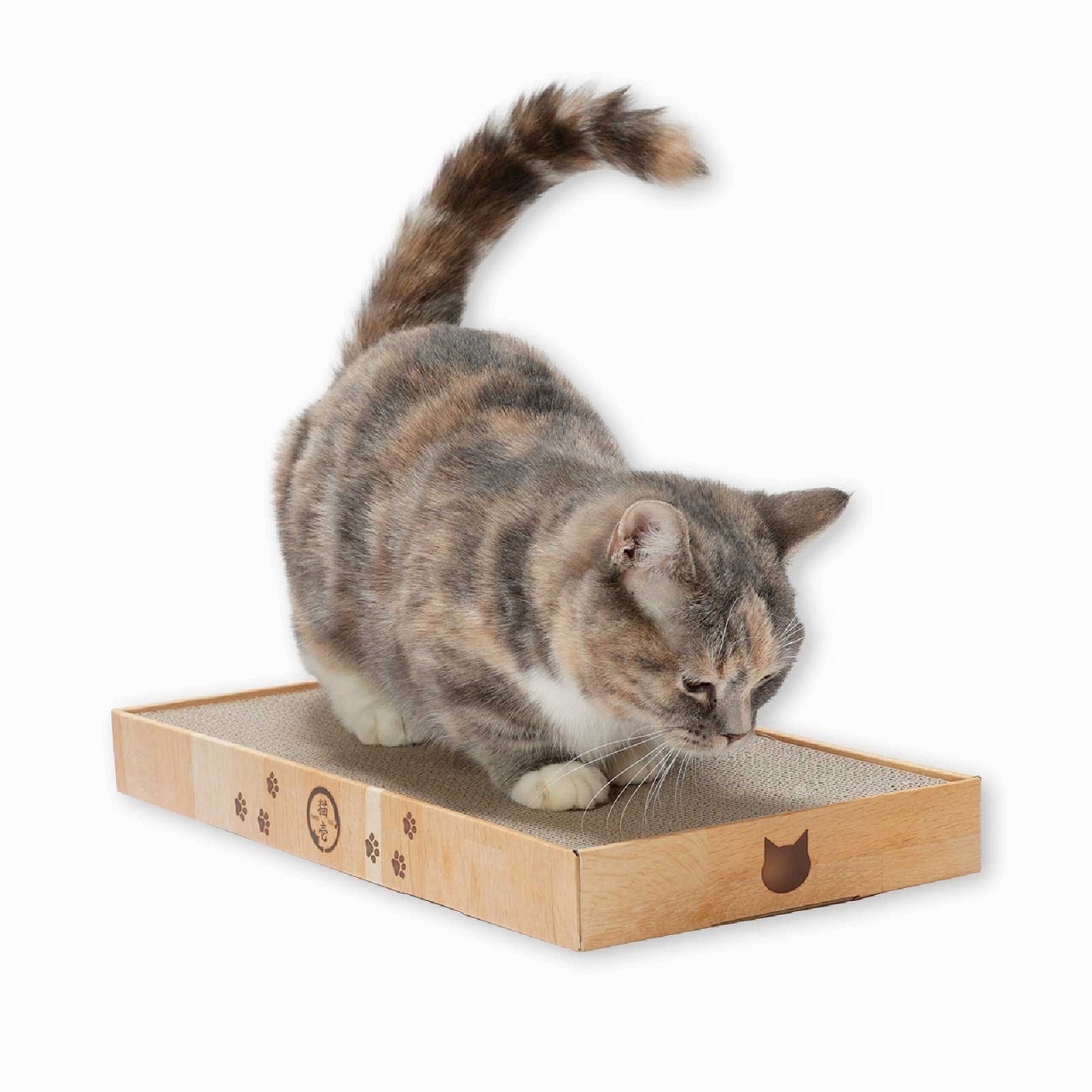 バリバリパッド ワイド