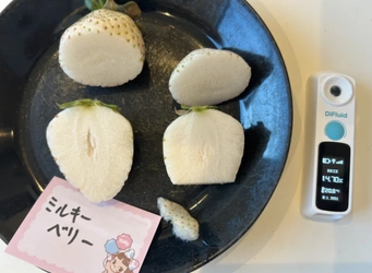 いちごの品種別の糖度を分析したランキングページを公開！ 産地直送・お取り寄せ通販サイトにてさまざまな品種の販売を開始