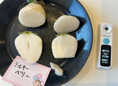 いちごの品種別の糖度を分析したランキングページを公開！ 産地直送・お取り寄せ通販サイトにてさまざまな品種の販売を開始