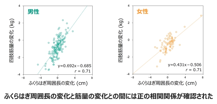 図. ふくらはぎ周囲長の変化と四肢筋量の変化の関係性(男女別)