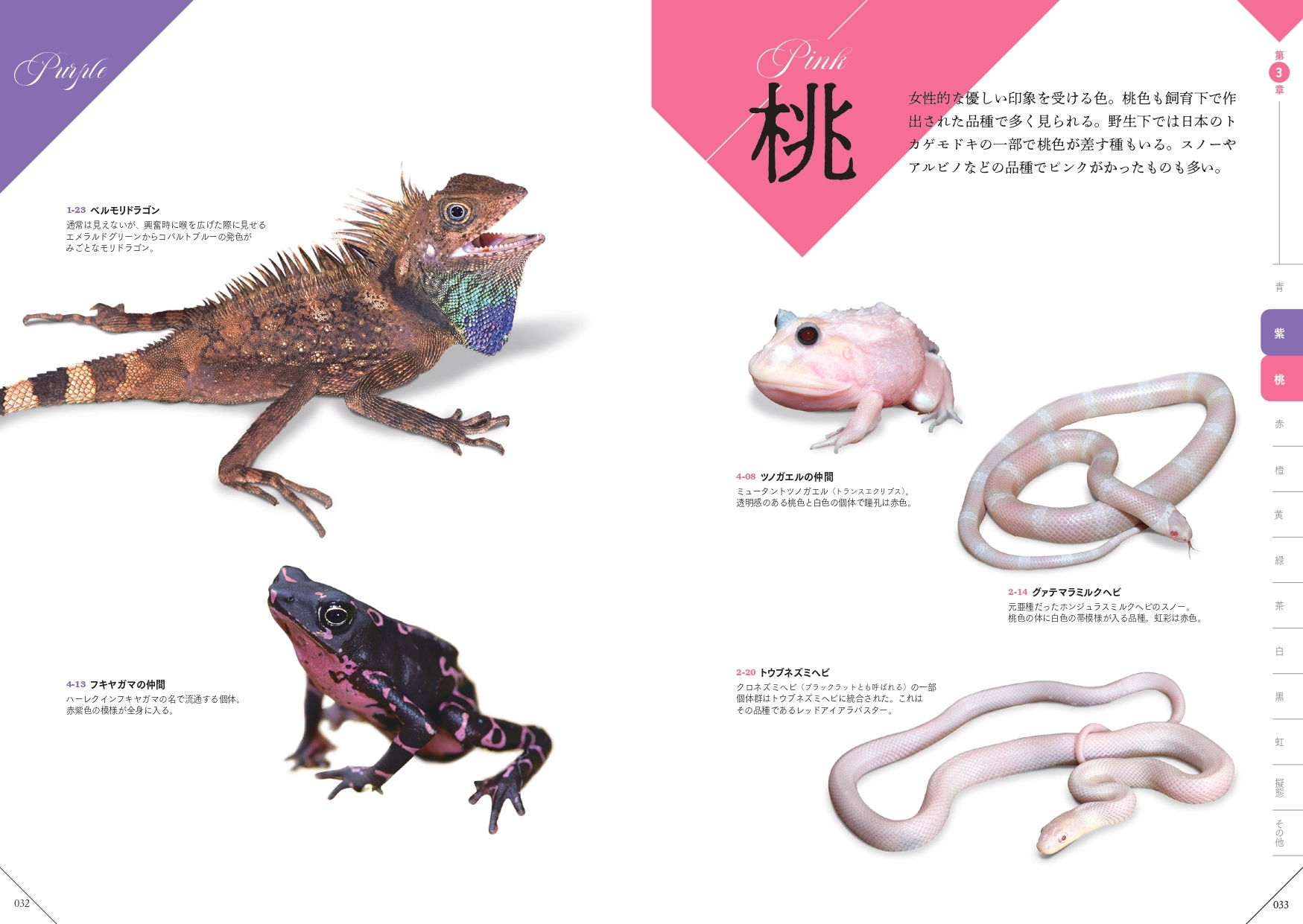 桃 『色彩別 爬虫類・両生類図鑑』