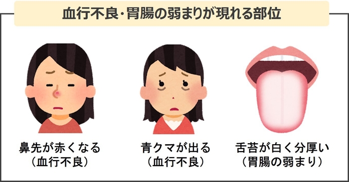 血行不良・胃腸の弱まりが現れる部位
